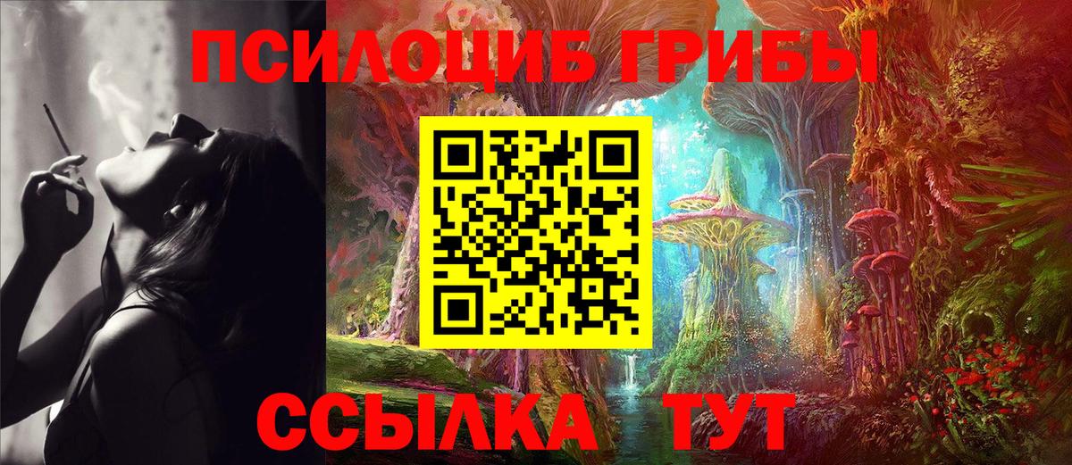 Галлюциногенные грибы Psilocybine cubensis  Вход с VPN  Пугачёв 